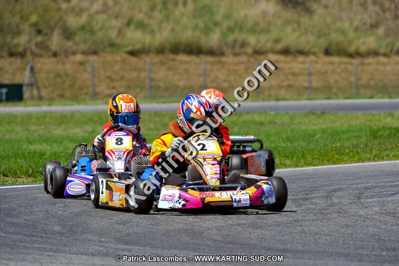 DSC_ (1490).jpg